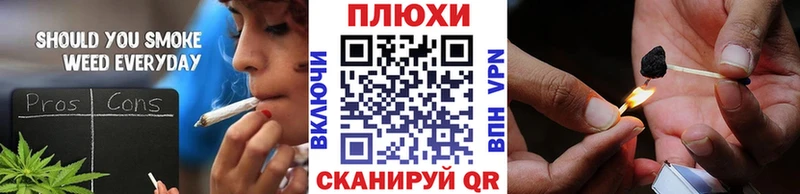ГАШ Premium  где продают   Нея 
