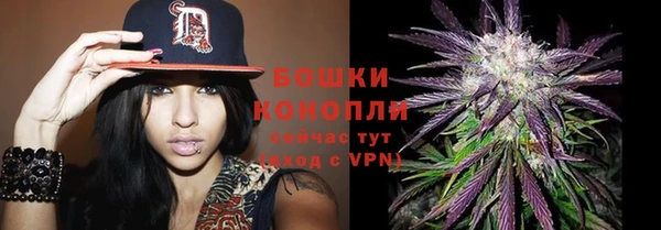 прущий лед Ладушкин