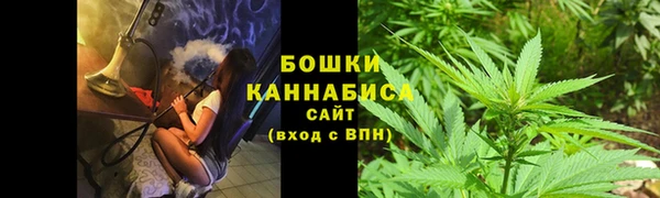 первитин Лабытнанги