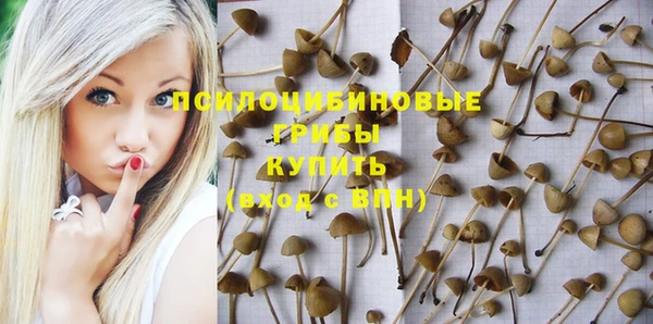 первитин Лабытнанги