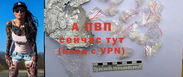 прущий лед Ладушкин