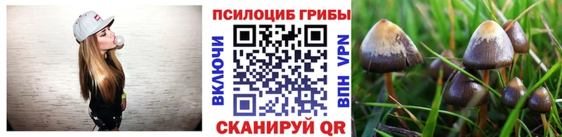 Галлюциногенные грибы GOLDEN TEACHER  Нея 
